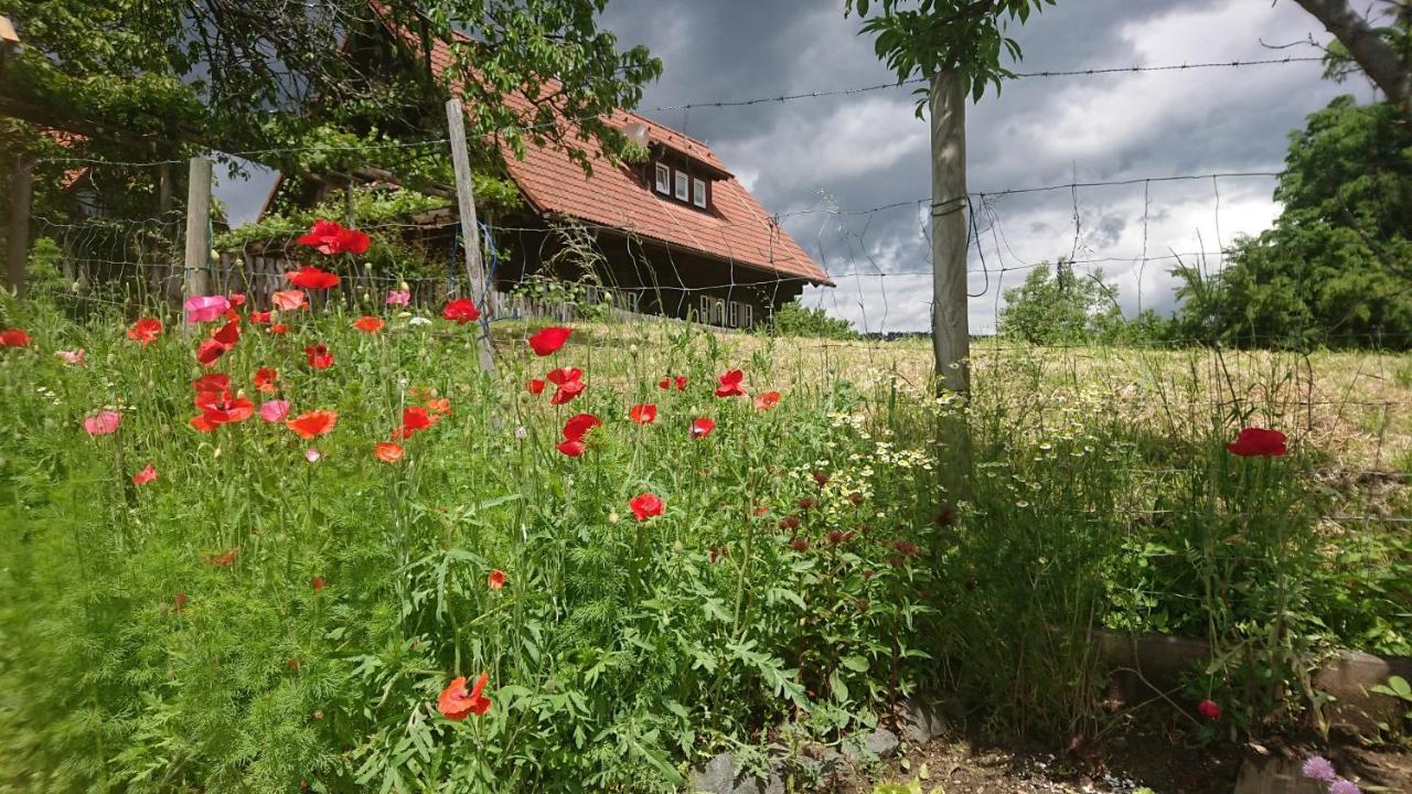 Gaestehaus Der Gamser Winzerstube Bad Gams Екстер'єр фото